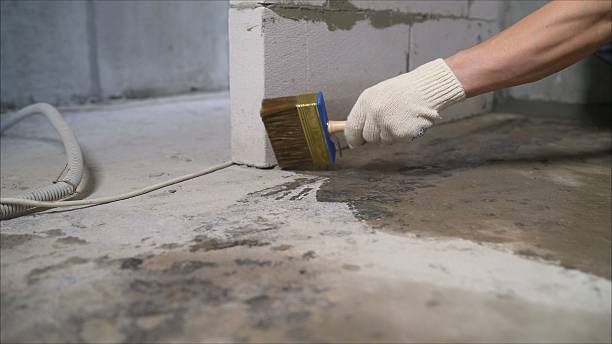 SJ Waterproofing Pros Waterproofing coverage map for Newark, IL and surrounding area